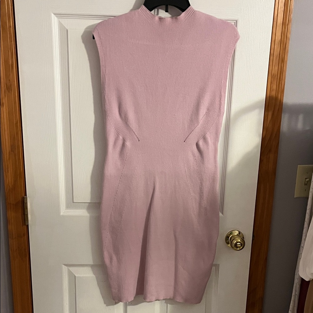Express Soft Pink Body Contour Mini Dress